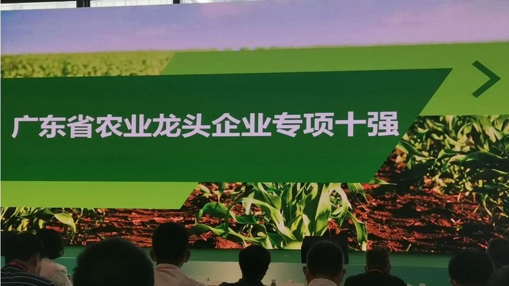 喜讯：深圳波顿荣登“广东省农业龙头企业科技创新十强”榜单